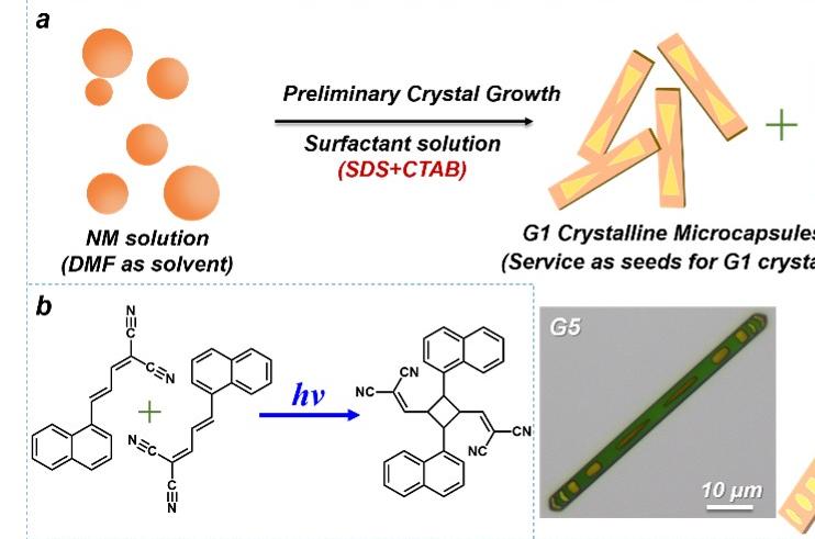 New Progress in Photoresponsive Dynamic Organic Crystal Materials from ECUST Published in the Journal of the American Chemical Society